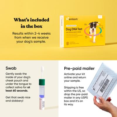 Show full view: Embark Breed Identification Dog DNA Test Kit slide 8 of 11