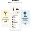 Show in main carousel: Embark Breed Identification Dog DNA Test Kit slide 2 of 10