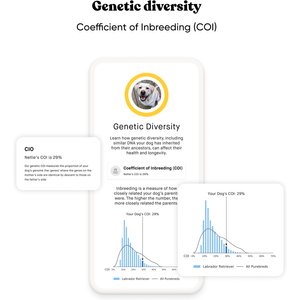 Embark Purebred Breed ID & Health Dog DNA Test Kit
