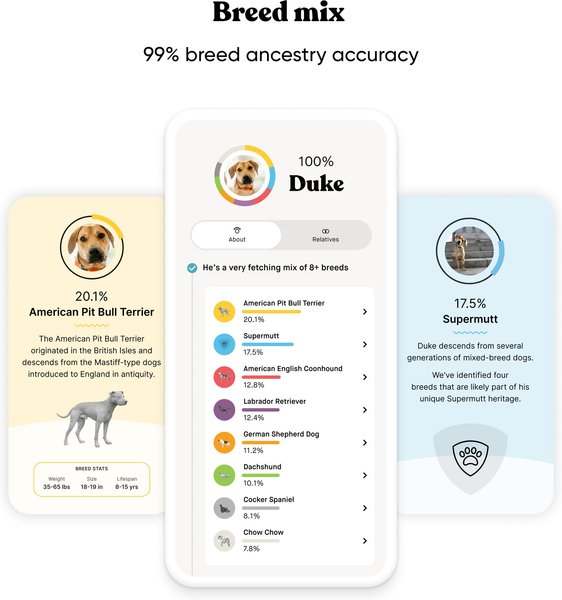 Show full view: Embark Purebred Breed ID & Health Dog DNA Test Kit slide 2 of 10