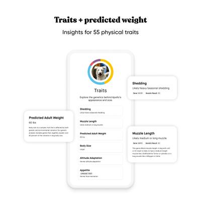 Show full view: Embark Purebred Breed ID & Health Dog DNA Test Kit slide 7 of 11