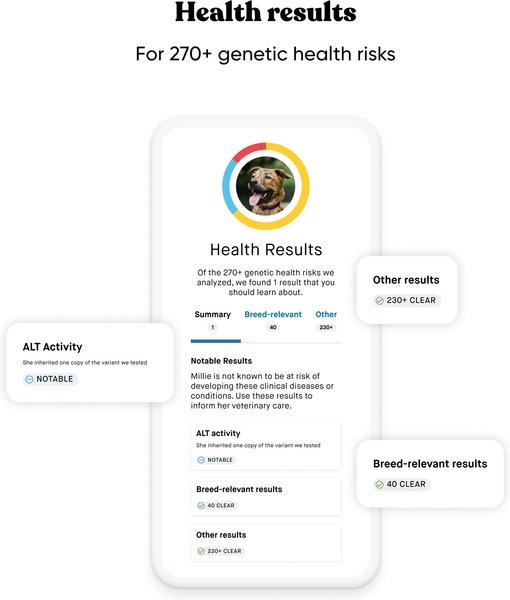 Show full view: Embark Purebred Breed ID & Health Dog DNA Test Kit slide 5 of 10