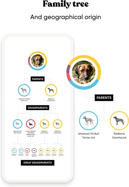 Show full view: Embark Purebred Breed ID & Health Dog DNA Test Kit slide 3 of 10