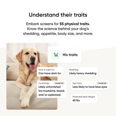 Show full view: Embark Purebred Breed ID & Health Dog DNA Test Kit slide 9 of 10