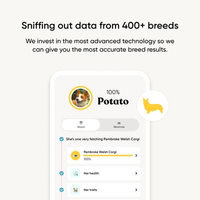 Show full view: Embark Purebred Breed ID & Health Dog DNA Test Kit slide 5 of 10
