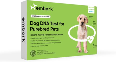 Embark Purebred Breed ID & Health Dog DNA Test Kit