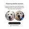 Show in main carousel: Embark Purebred Breed ID & Health Dog DNA Test Kit slide 7 of 10