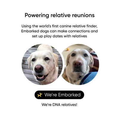Show full view: Embark Purebred Breed ID & Health Dog DNA Test Kit slide 7 of 10