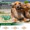 Show in main carousel: Emerald Pet Fresh Smileezz Medium Grain-Free Dental Dog Treats, 18 count slide 8 of 9