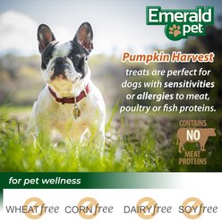 Emerald Pet Pumpkin Harvest Oven Baked Pumpkin Recipe with Blueberry Chewy Dog Treats, 6-oz bag slide 2 of 8