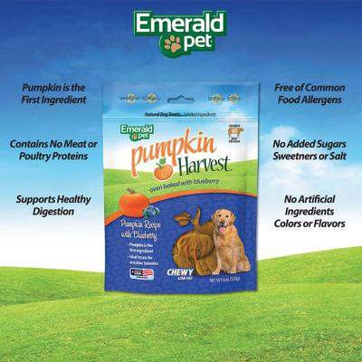 Show full view: Emerald Pet Pumpkin Harvest Oven Baked Pumpkin Recipe with Blueberry Chewy Dog Treats, 6-oz bag slide 4 of 10