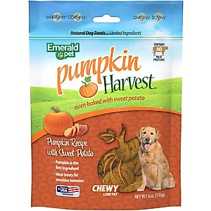 Emerald Pet Pumpkin Harvest Oven Baked with Sweet Potato Chicken-Free Dog Treats, 6-oz bag