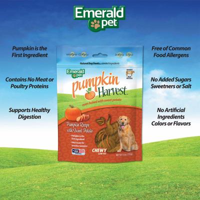 Show full view: Emerald Pet Pumpkin Harvest Oven Baked with Sweet Potato Chicken-Free Dog Treats, 6-oz bag slide 4 of 9