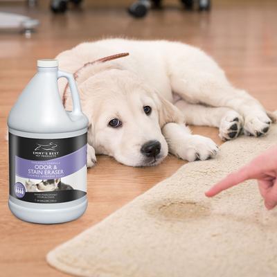 Show full view: Emmy's Best Pet Products Enzyme-Based Pet Odor & Stain Eraser, 1-gal bottle slide 6 of 6