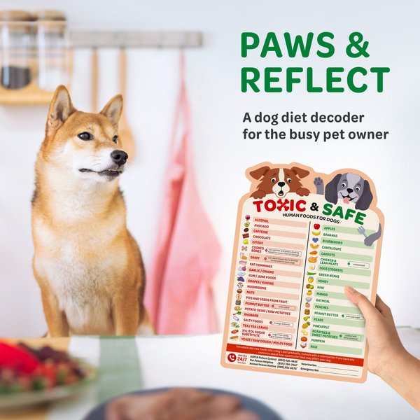 Emmy's Best Pet Products New Puppy Essentials Toxic vs Safe Dog Food Feeding Chart with Safety Emergency Numbers Fridge Magnet, Multicolor