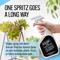 Show in main carousel: Emmy's Best Pet Products Stop the Scratch Max Strength Cat Scratch Deterrent Spray, 32-fl oz bottle slide 5 of 9