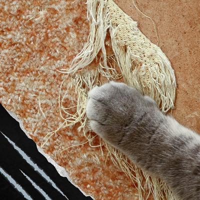 Show full view: Emmy's Best Pet Products Stop the Scratch Max Strength Cat Scratch Deterrent Spray, 8-fl oz bottle slide 5 of 9