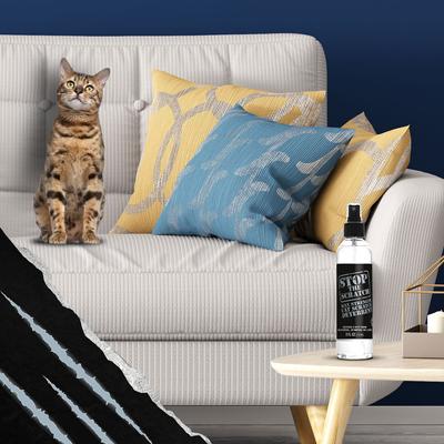 Show full view: Emmy's Best Pet Products Stop the Scratch Max Strength Cat Scratch Deterrent Spray, 8-fl oz bottle slide 8 of 9