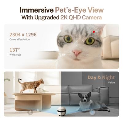 Show full view: ENABOT ROLA Mini Moveable Wi-Fi Pet Camera slide 8 of 10