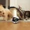 Show in main carousel: ENABOT ROLA Mini Moveable Wi-Fi Pet Camera slide 5 of 10