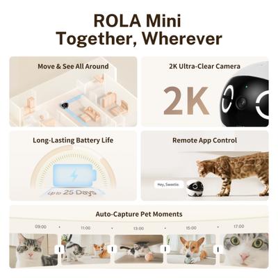 Show full view: ENABOT ROLA Mini Moveable Wi-Fi Pet Camera slide 6 of 10