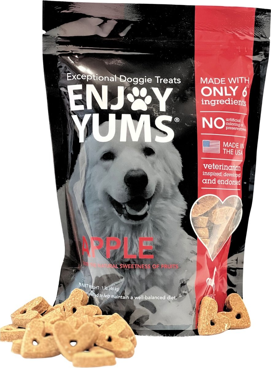 Enjoy Yums Carrot Flavor Dog Treats, 1-lb bag