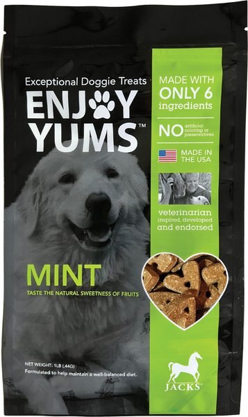 Enjoy Yums Mint Flavor Dog Treats, 1-lb bag