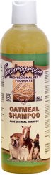 Envirogroom Aloe Oatmeal Pet Shampoo, 17-fl oz bottle