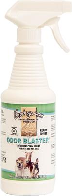 Show full view: Envirogroom Odor Blaster Odor Neutralizing Pet Spray, 16-fl oz bottle slide 1 of 1