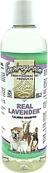 Envirogroom Real Lavender 32:1 Dog & Cat Shampoo, 17-fl oz bottle