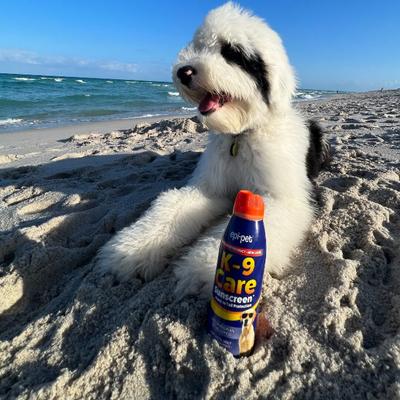 Show full view: Epi-Pet Sun Protector Skin Treatment Spray, 3.5-fl oz bottle slide 7 of 9