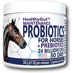 Equa Holistics HealthyGut Maintenance Probiotics Powder Horse Supplement, 8.5-oz tub