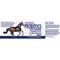 Show in main carousel: Equa Holistics HealthyGut Maintenance Probiotics Powder Horse Supplement, 8.5-oz tub slide 2 of 2