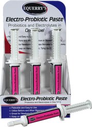 Equerry's Electro-Probiotic Paste Horse Supplement, 30-gm syringe
