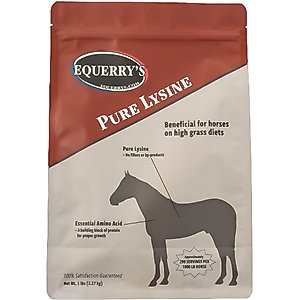 Equerry's Pure Lysine Powder Horse Supplement, 5-lb bag
