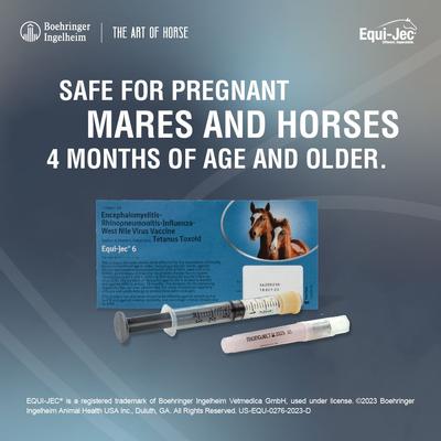 Show full view: EQUI JEC 6 Vaccine for Horses, 1mL Syringe slide 5 of 9