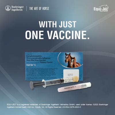Show full view: EQUI JEC 6 Vaccine for Horses, 1mL Syringe slide 4 of 9