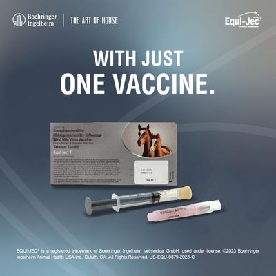 Show full view: EQUI JEC 7 Vaccine for Horses, 1mL Syringe slide 4 of 9