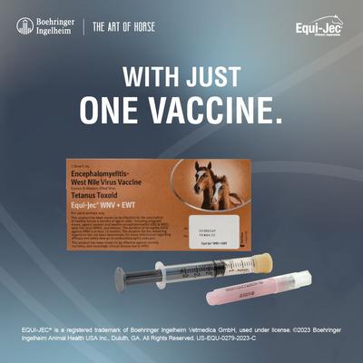 Show full view: EQUI JEC WNV + EWT Vaccine for Horses, 1mL Syringe slide 4 of 8