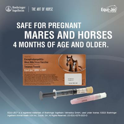 Show full view: EQUI JEC WNV + EWT Vaccine for Horses, 1mL Syringe slide 5 of 8