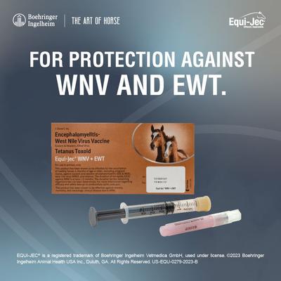 Show full view: EQUI JEC WNV + EWT Vaccine for Horses, 1mL Syringe slide 3 of 8