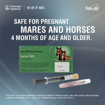 Show full view: EQUI JEC WNV Vaccine for Horses, 1mL Syringe slide 4 of 7