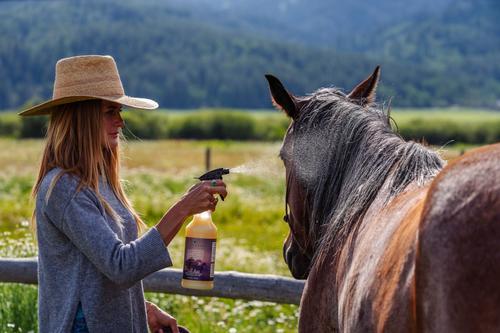 Show full view: Equiderma Neem & Aloe Natural Horse Spray, 32-oz bottle slide 3 of 4