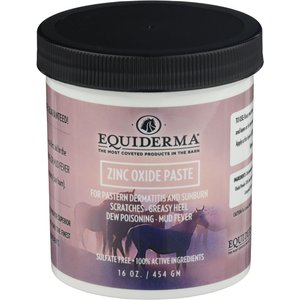 Equiderma Zinc Oxide Horse Sunscreen & Skin Care Paste, 16-oz jar