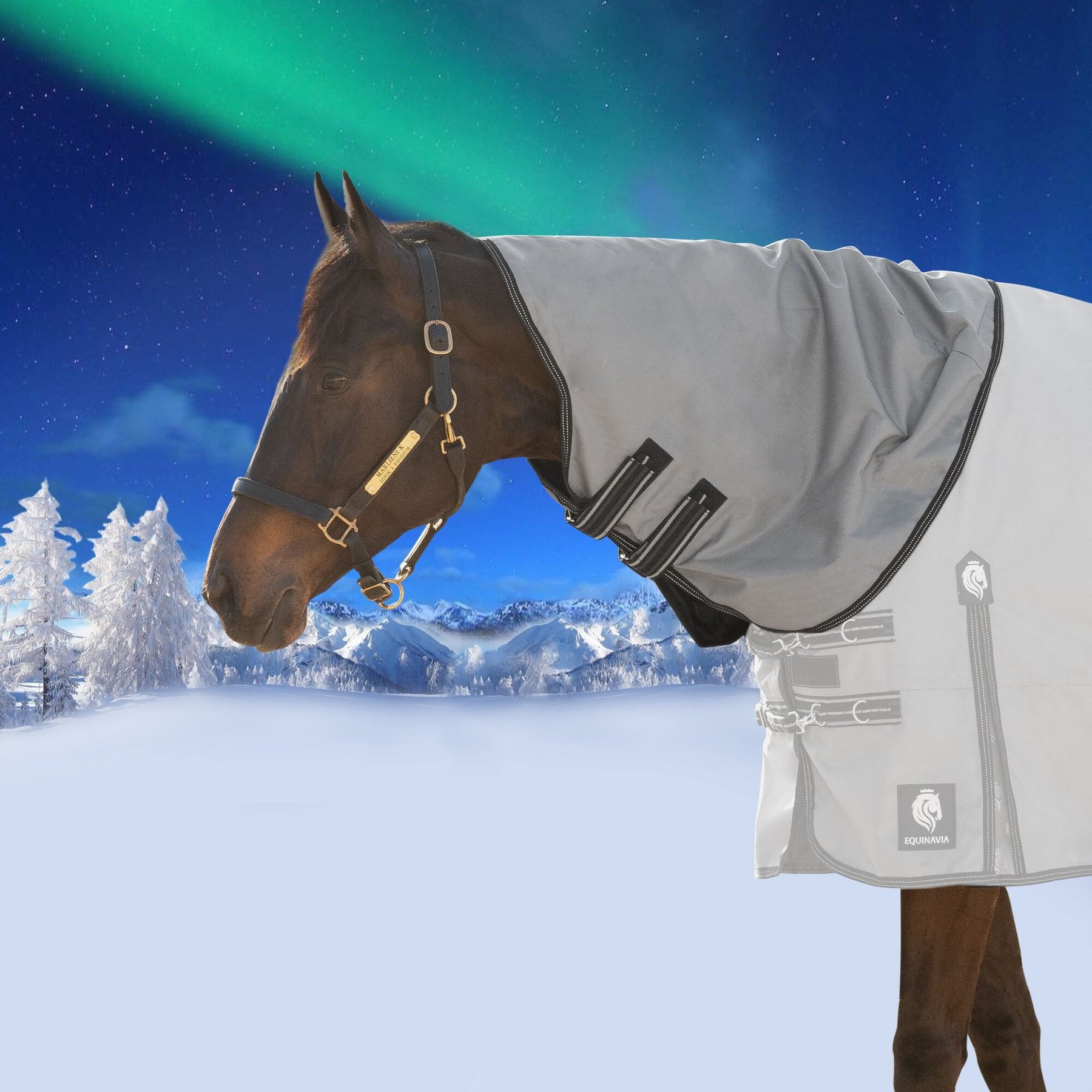 Equinavia Arktis 200-g Horse Turnout Neck Cover, Carbon Gray, Large