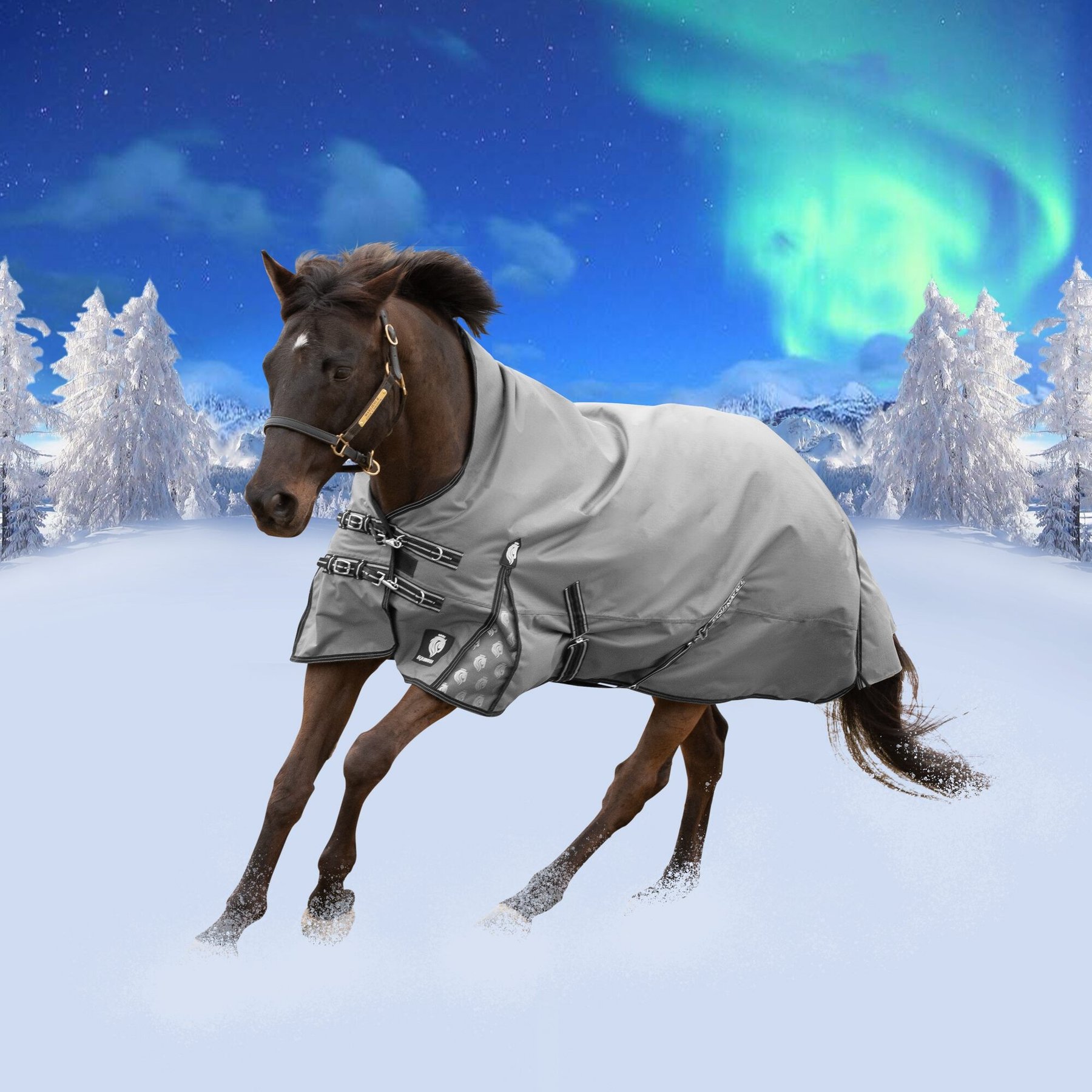 Equinavia Arktis Extended Neck Heavyweight 300-g Horse Turnout Blanket, Charcoal Gray, 75-in