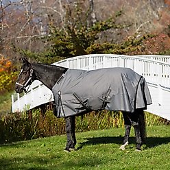 Equinavia Arktis Regular Neck Heavyweight 300-g Horse Turnout Blanket, Carbon Grey, 69-in slide 2 of 7