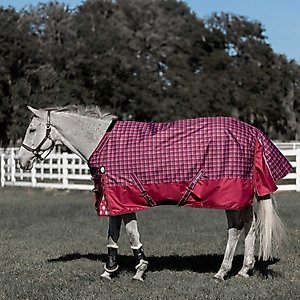 Equinavia Arktis Regular Neck Heavyweight 300-g Horse Turnout Blanket, Cranberry Red, 72-in