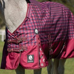 Equinavia Arktis Regular Neck Heavyweight 300-g Horse Turnout Blanket, Cranberry Red, 72-in slide 2 of 7