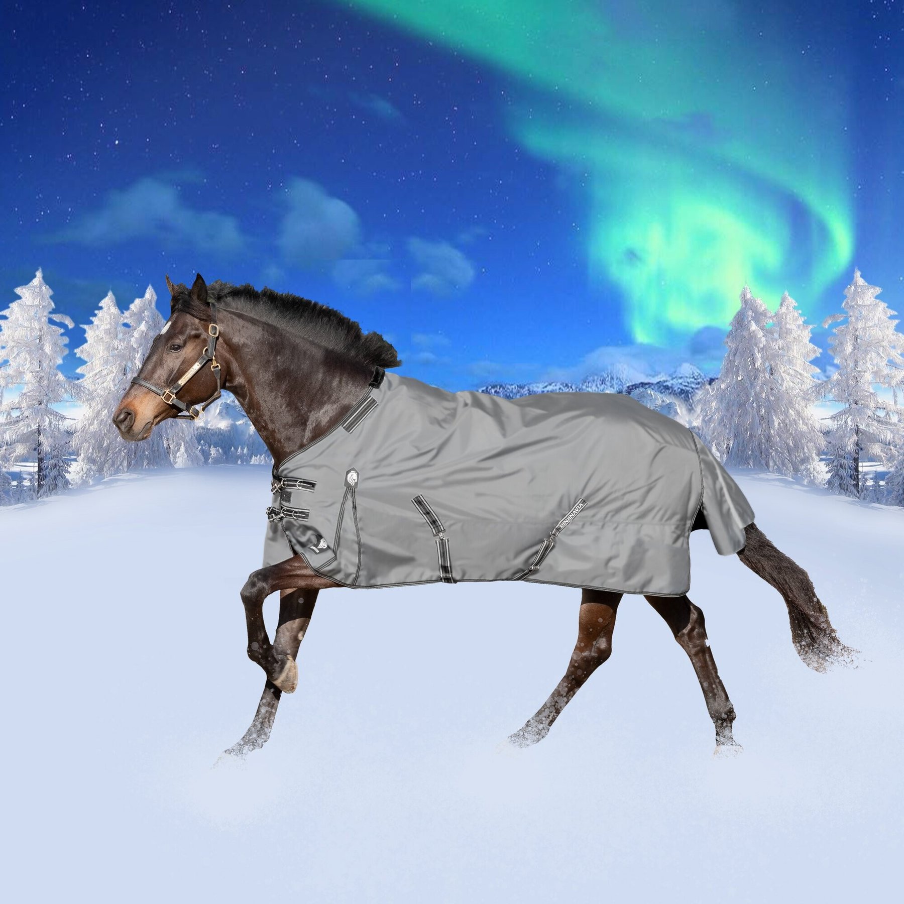 Equinavia Arktis Regular Neck Horse Turnout Sheet, Carbon Gray, 69-in